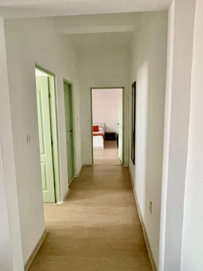Hostel Cazino Nord Rooms 马马亚 外观 照片