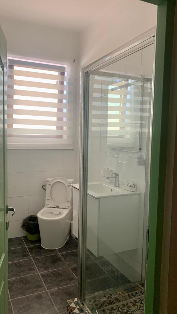 Hostel Cazino Nord Rooms 马马亚 外观 照片