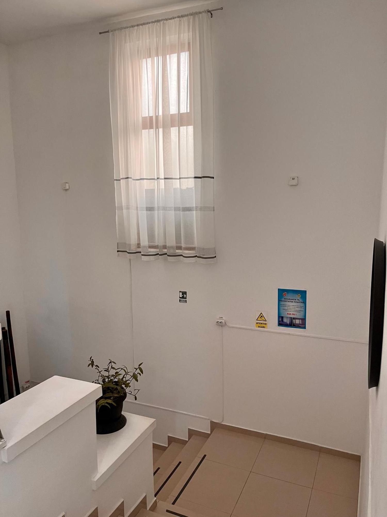 Hostel Cazino Nord Rooms 马马亚 外观 照片